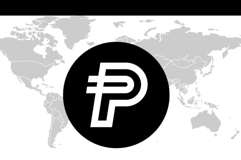 The PayPal Crypto Wallet, Demystified The old way of sending money globally was slow and costly. The PayPal crypto wallet collapses that lag - move PYUSD across borders in seconds, at low cost.